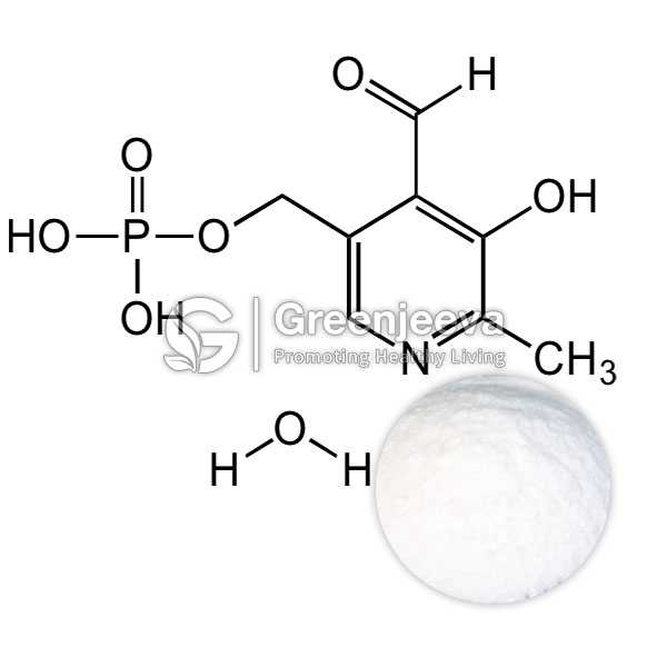Pyridoxal-5-Phosphate Monohydrate Powder