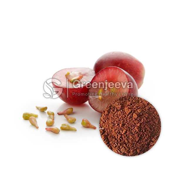 Grape Seed Extract Powder 95% Oligomeric proanthocyanidins, UV