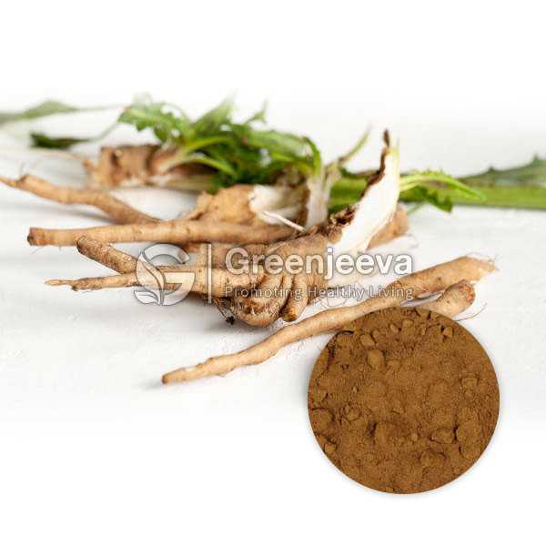 Organic Chicory Root Powder