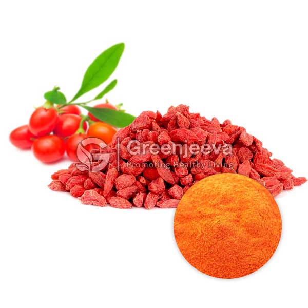 Goji Berry Extract Powder 4:1