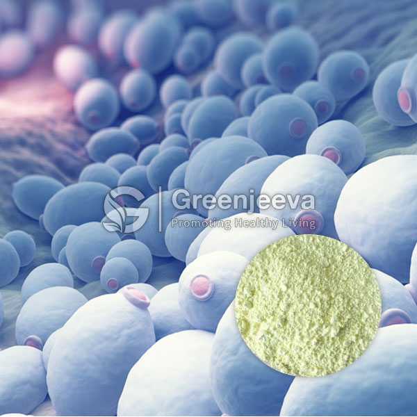 Saccharomyces boulardii Powder 20B CFU/G