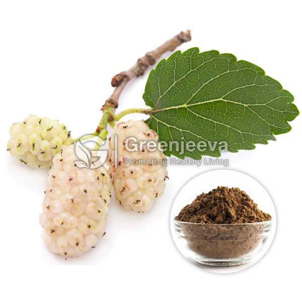 White Mulberry Leaf Extract Powder 1% 1-Deoxynojirimycin, HPLC