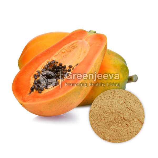 Papaya Fruit Extract Powder 10:1