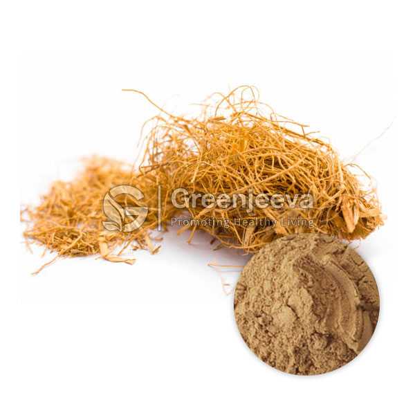 Angelica Root Extract Powder 10:1, TLC